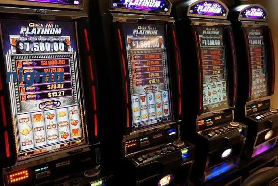 nigma Live Sportsbook Markets at Your Fingertips